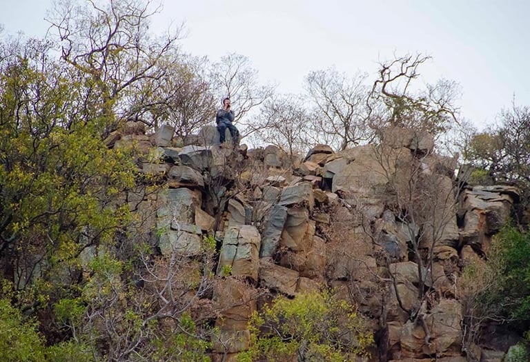 Person standing atop a large rocky boulder formation surrounded by bare and green trees in a natural landscape