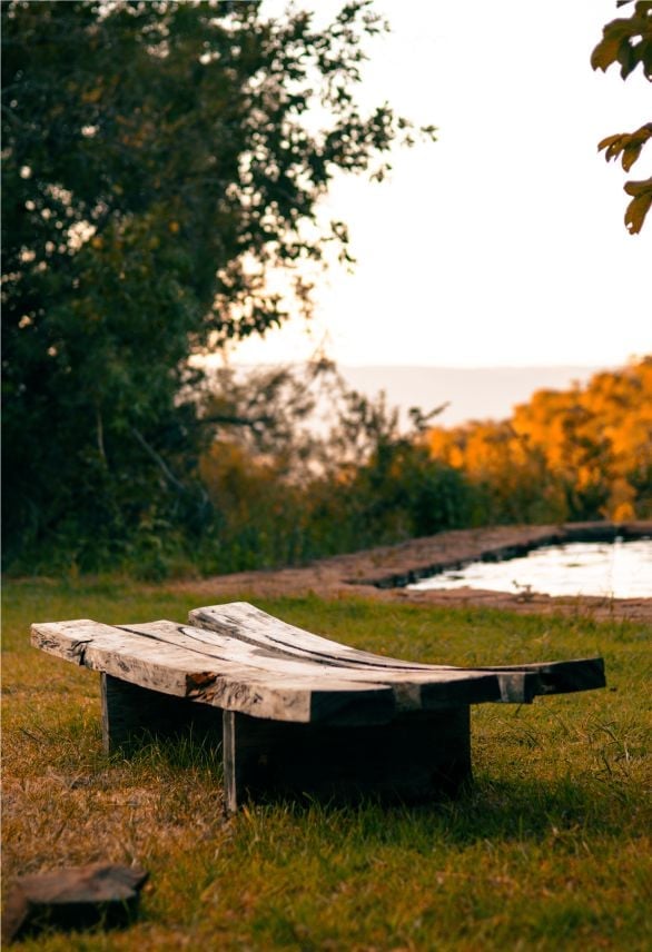 Rustic wooden bench on grass overlooking a lake with autumn forest and trees in background