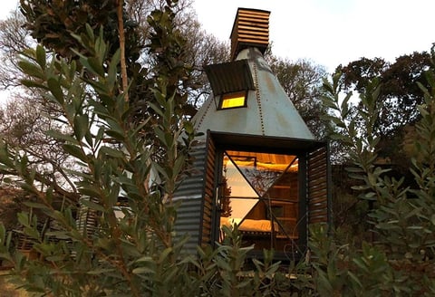 Modern metal cabin with large window glowing warmly inside, surrounded by bare trees and overgrown vegetation