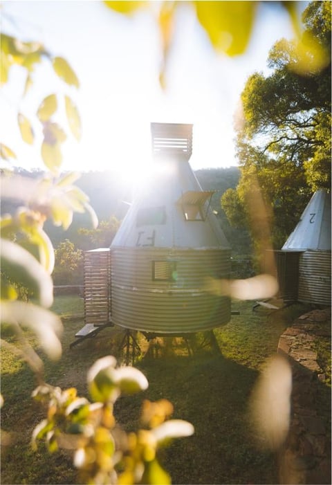 Cylindrical metal structure with domed roof in a garden, surrounded by trees and golden foliage in sunlight