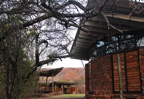 Rustic log cabin with red brick chimney nestled under gnarled bare tree branches in autumn landscape